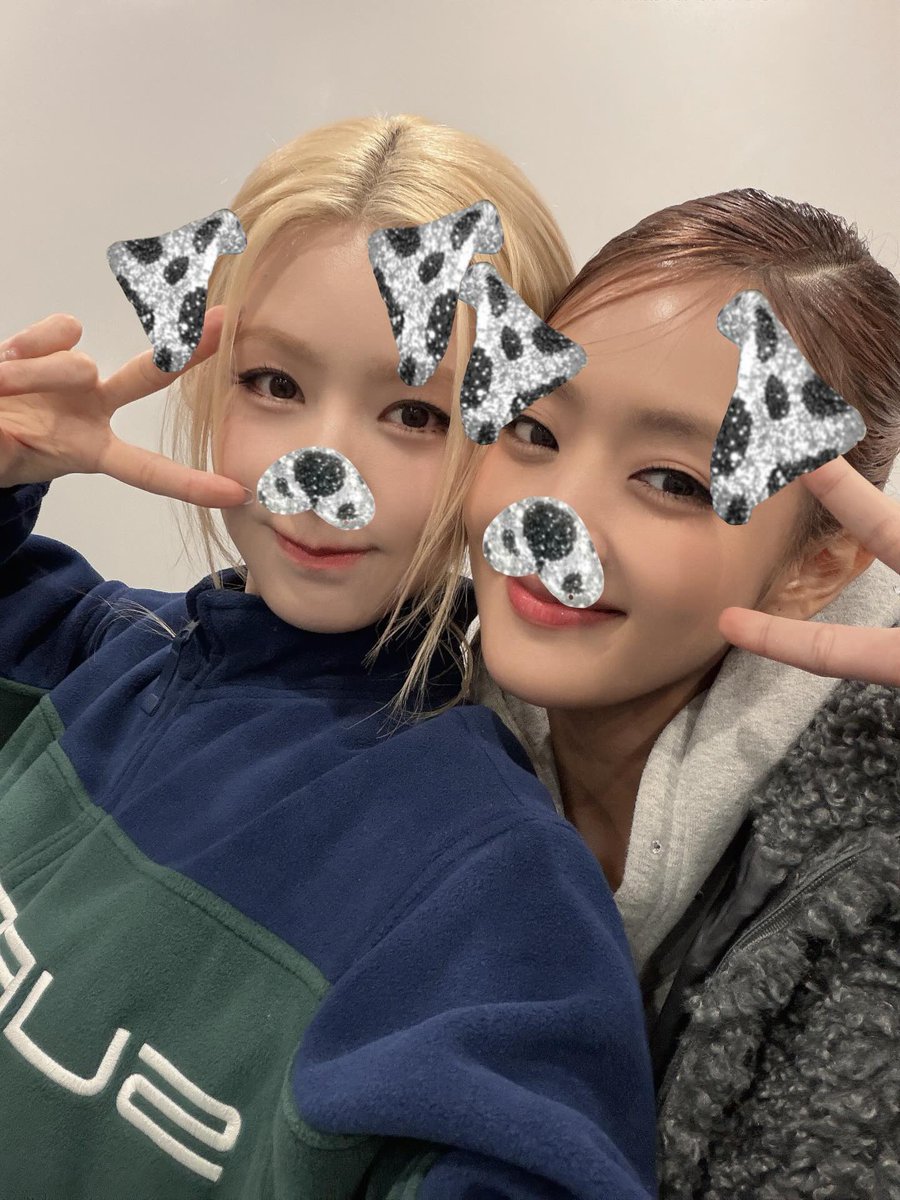 yejjo_'s tweet photo. 댕자8주년이라고 강아지란강아지는다꺼내서찍은거너무모에하네ㅜ…..💕 https://t.co/6dBCFntWoy