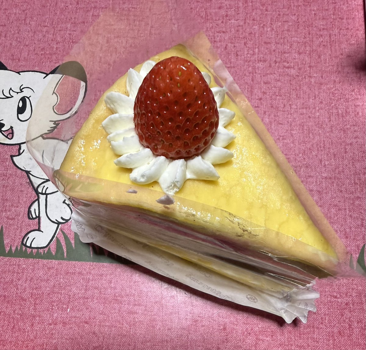 弟ハピバだから母がケーキ買ってきてくれて今食べてる
久々のケーキうま🍰