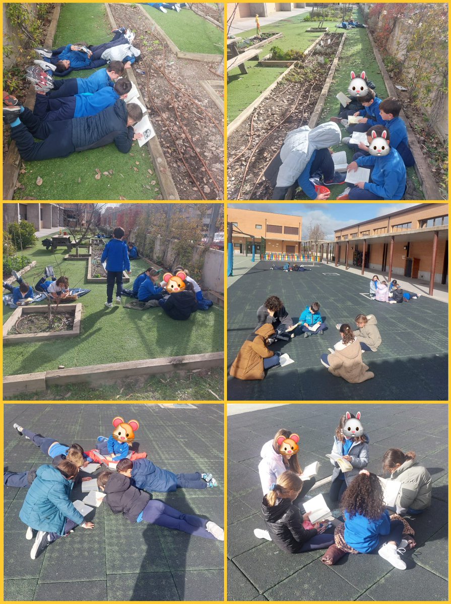 ¡Por fin sale el 🌞!
📖 Y hemos salido a leer para cargar 🔋 
😍 Nos encanta aprovechar cualquier espacio

#ceipfontan #montecarmelo #leermola #actividadesalairelibre