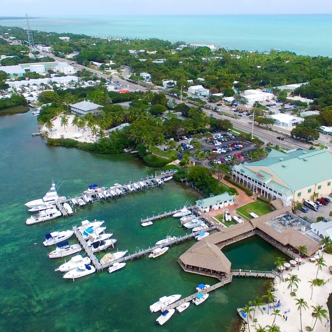 BlueMarlinMotel tweet media