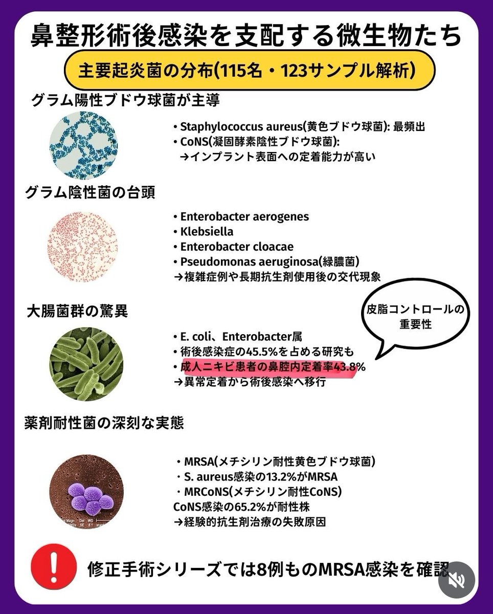 あお🐽未完成 tweet media