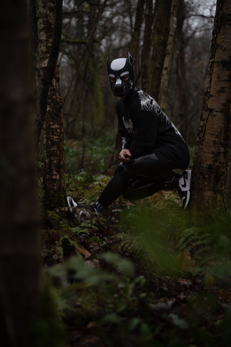 Walk in the woods 🌿🌿