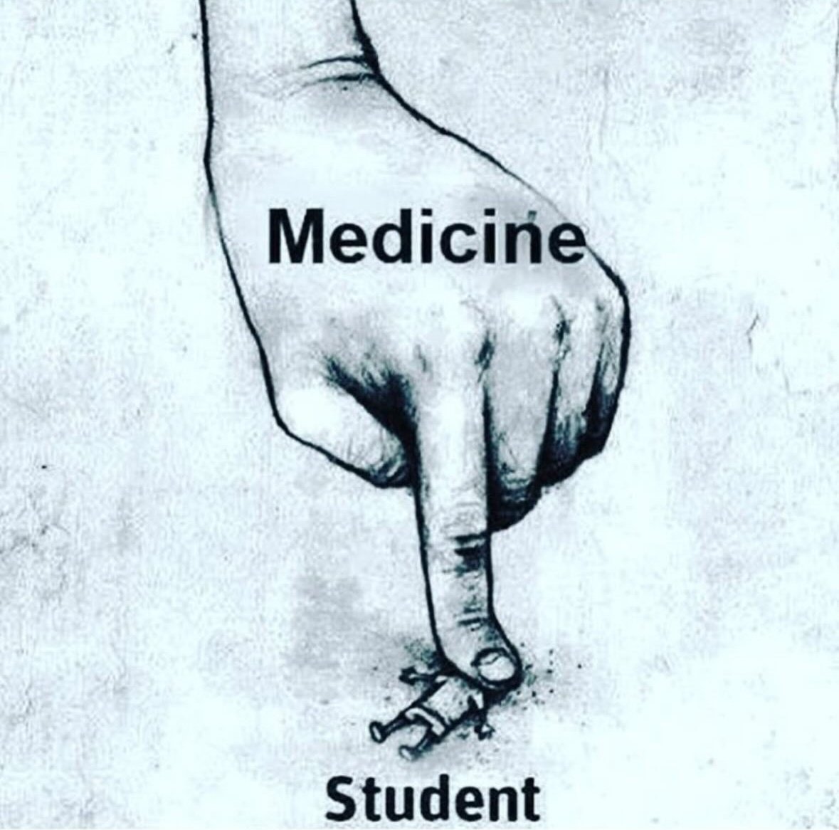 Reem Semsem (@reem_semsem1) on Twitter photo 