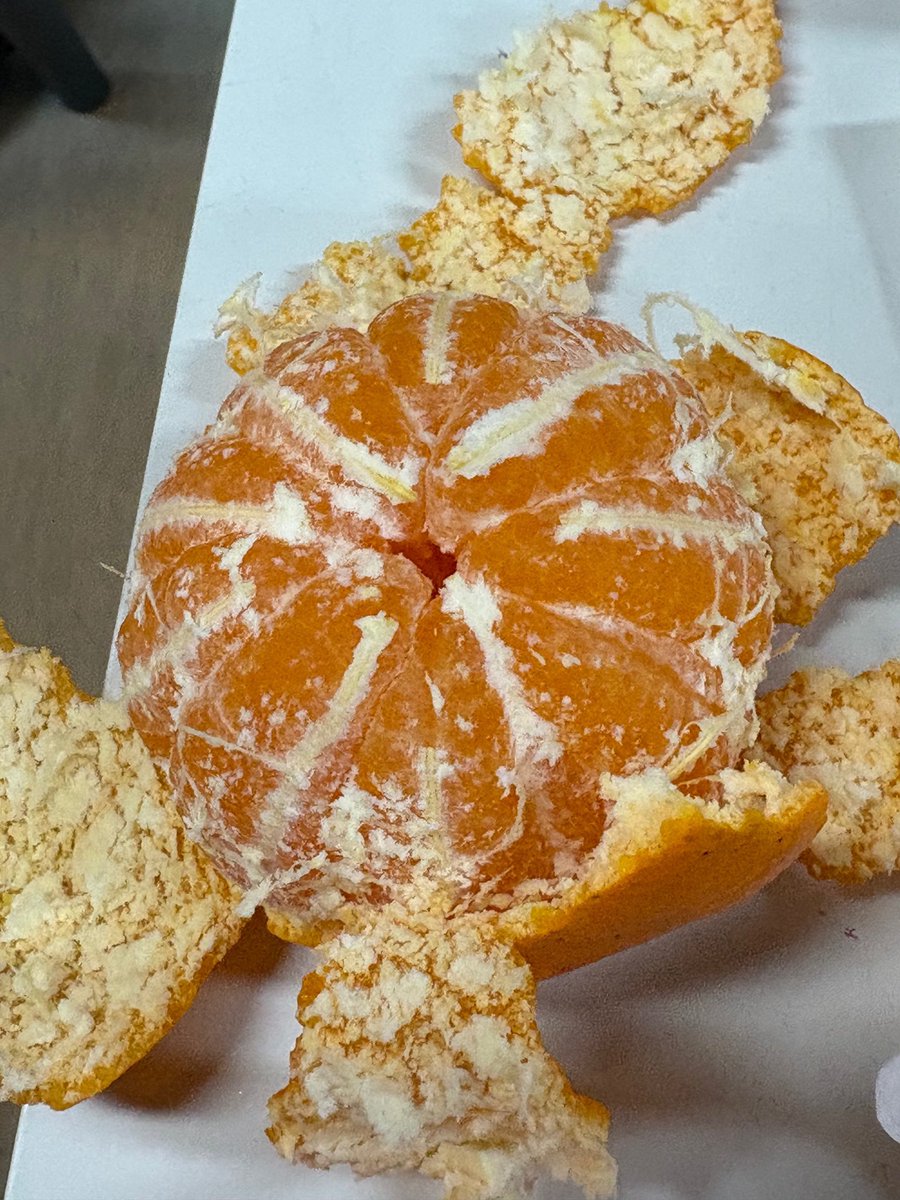 ONEDOOR kind of mood. Keeping it simple with sweet oranges and banana uyu because comfort food does not need to be complicated. Small bites, quiet moments, and flavors that feel right. This is my kind of good food, and enough for today.