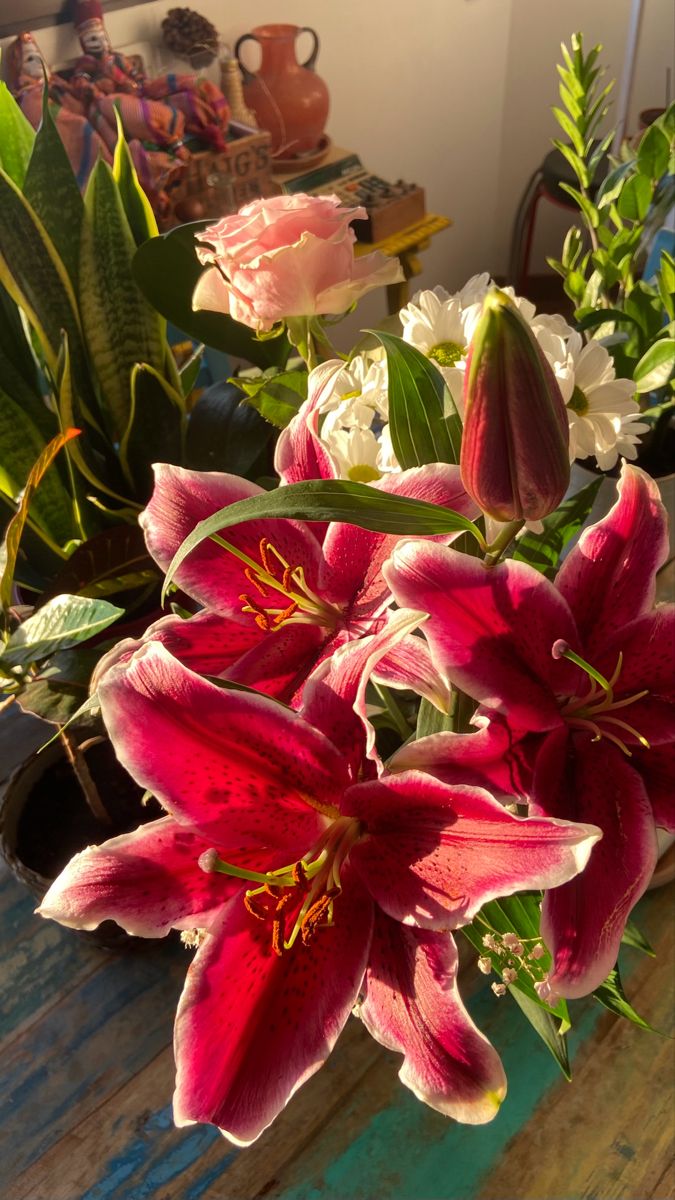 worldclick56's tweet image. 