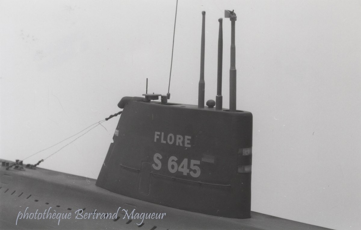 L'ivre de marine (compte perso Bertrand Magueur) tweet media