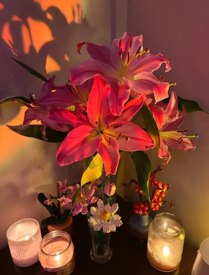 worldclick56's tweet image. 