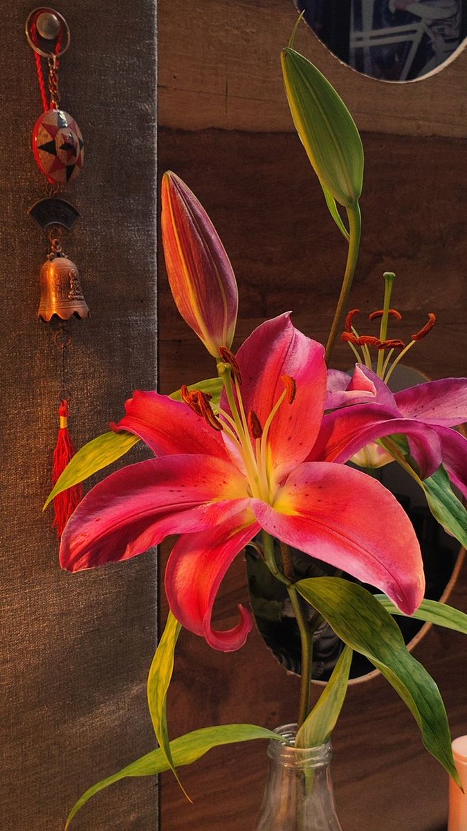 worldclick56's tweet image. 