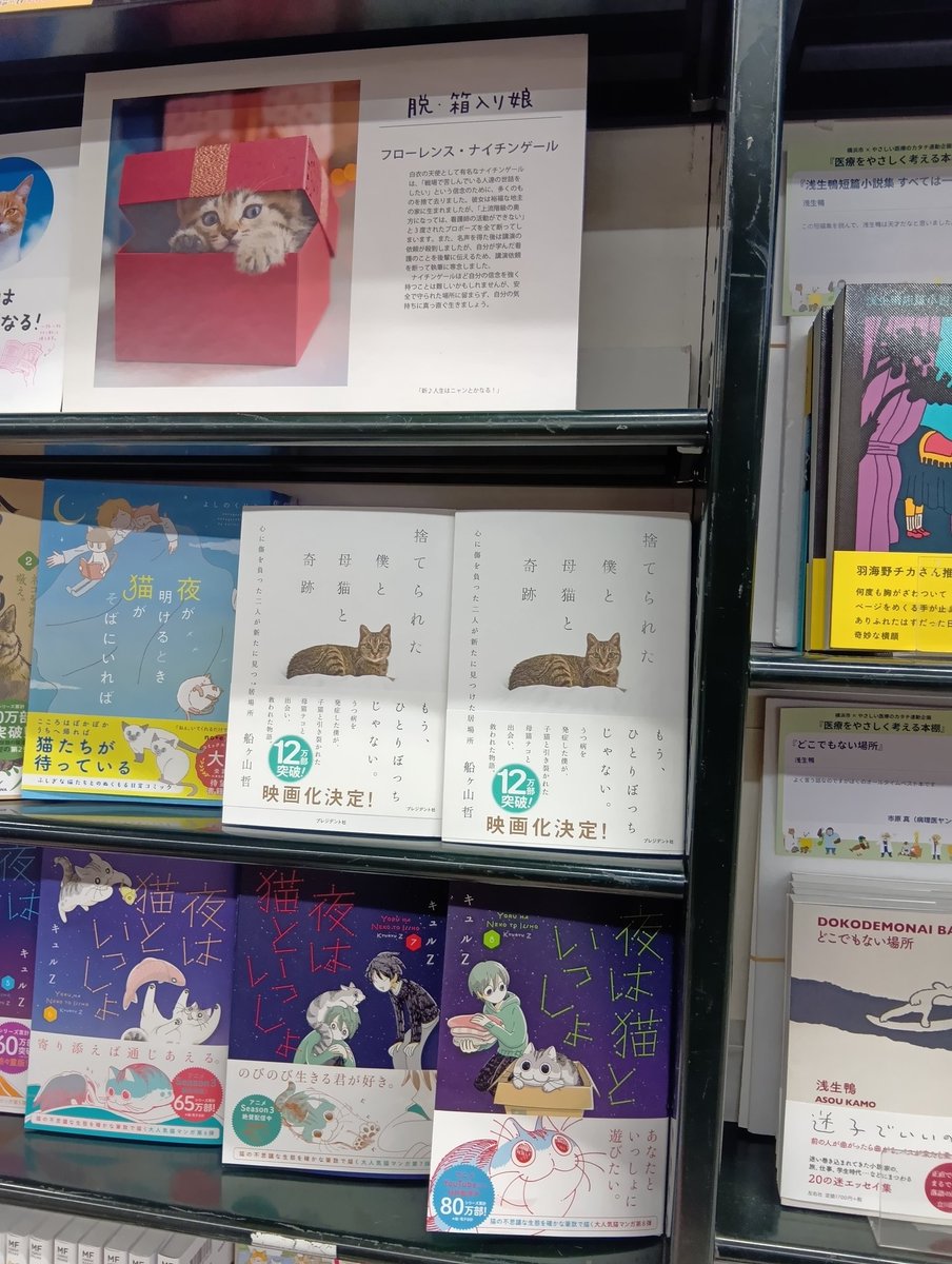 #有隣堂伊勢佐木町本店 様にて猫の日にちなんだ素敵なイベント棚に『#捨てられた僕と母猫と奇跡 』を並べていただきました！映画化も決定し、ますます絶好調！ぜひお手に取ってご覧ください

#船ヶ山哲 氏著 #2月22日は猫の日 #映画化決定 #プレジデント社