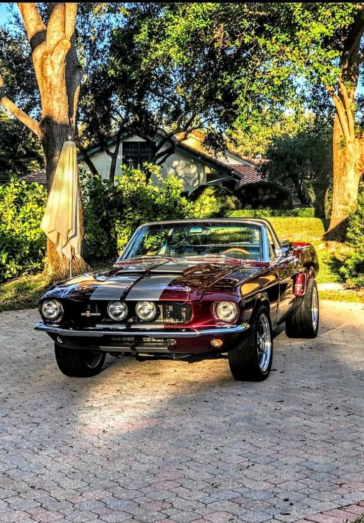 Col2Vintage's tweet photo. Dope or Nope 🤔 https://t.co/14esvh7sfl