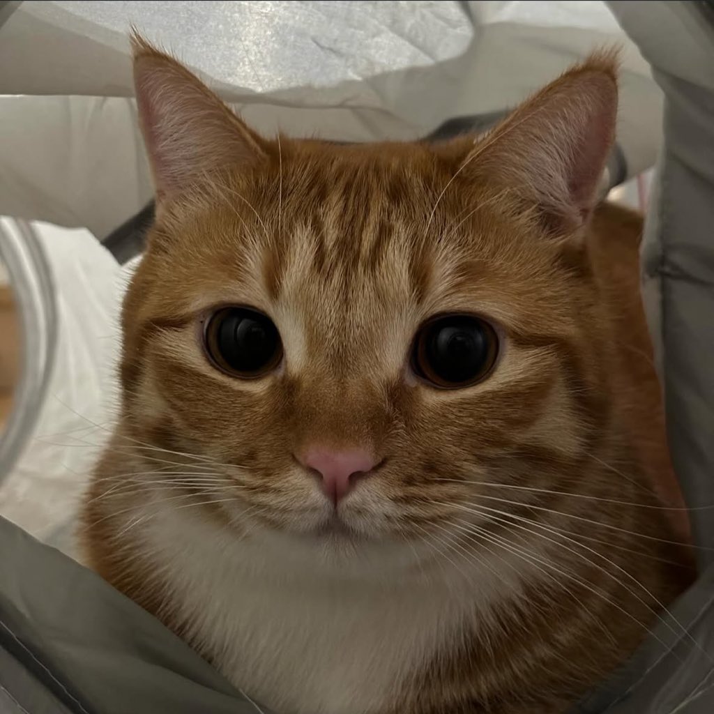 อยากให้มาเข้าลัทธิอ้วนส้อกกันเยอะๆ