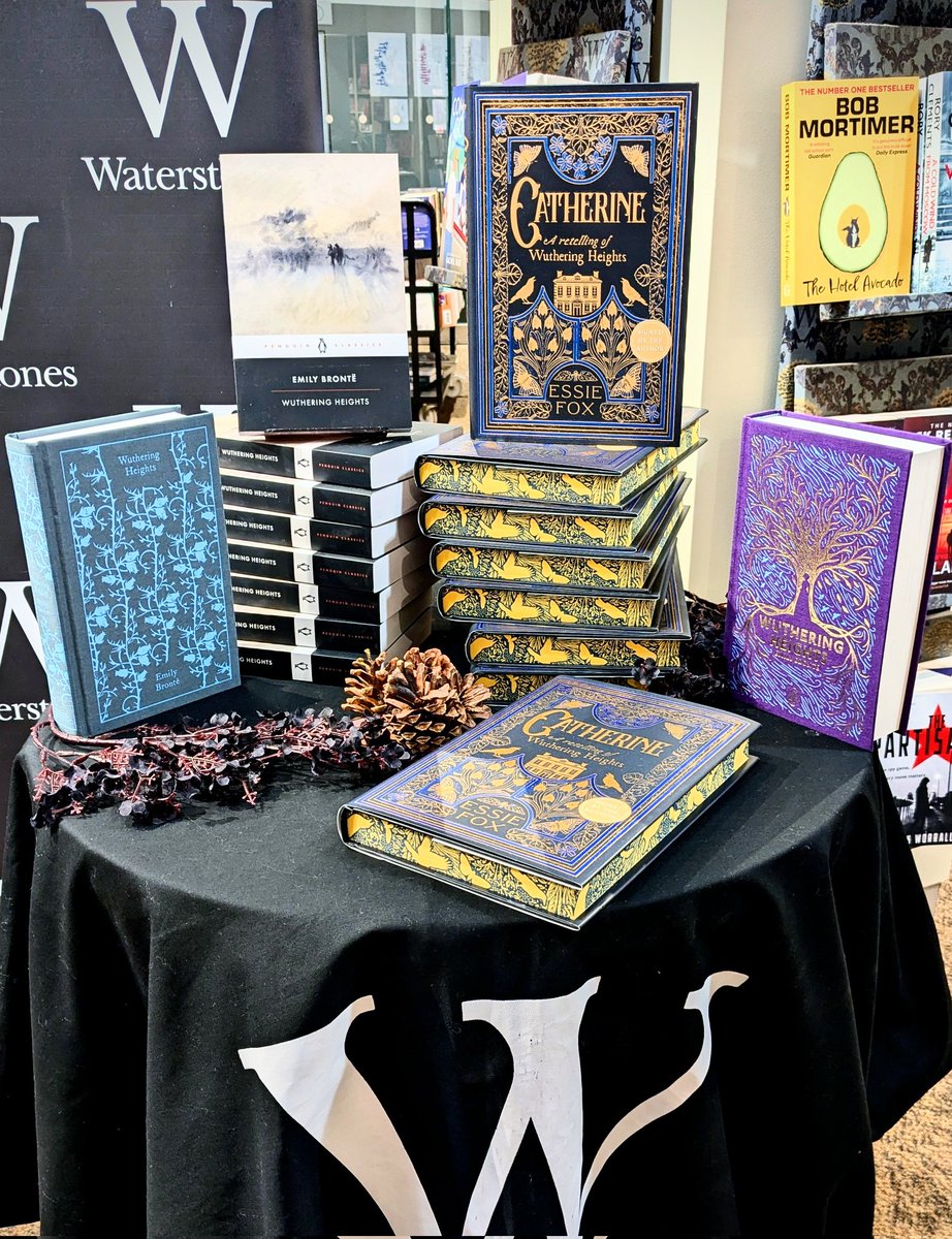 LJ Ireton Ⓥ tweet media