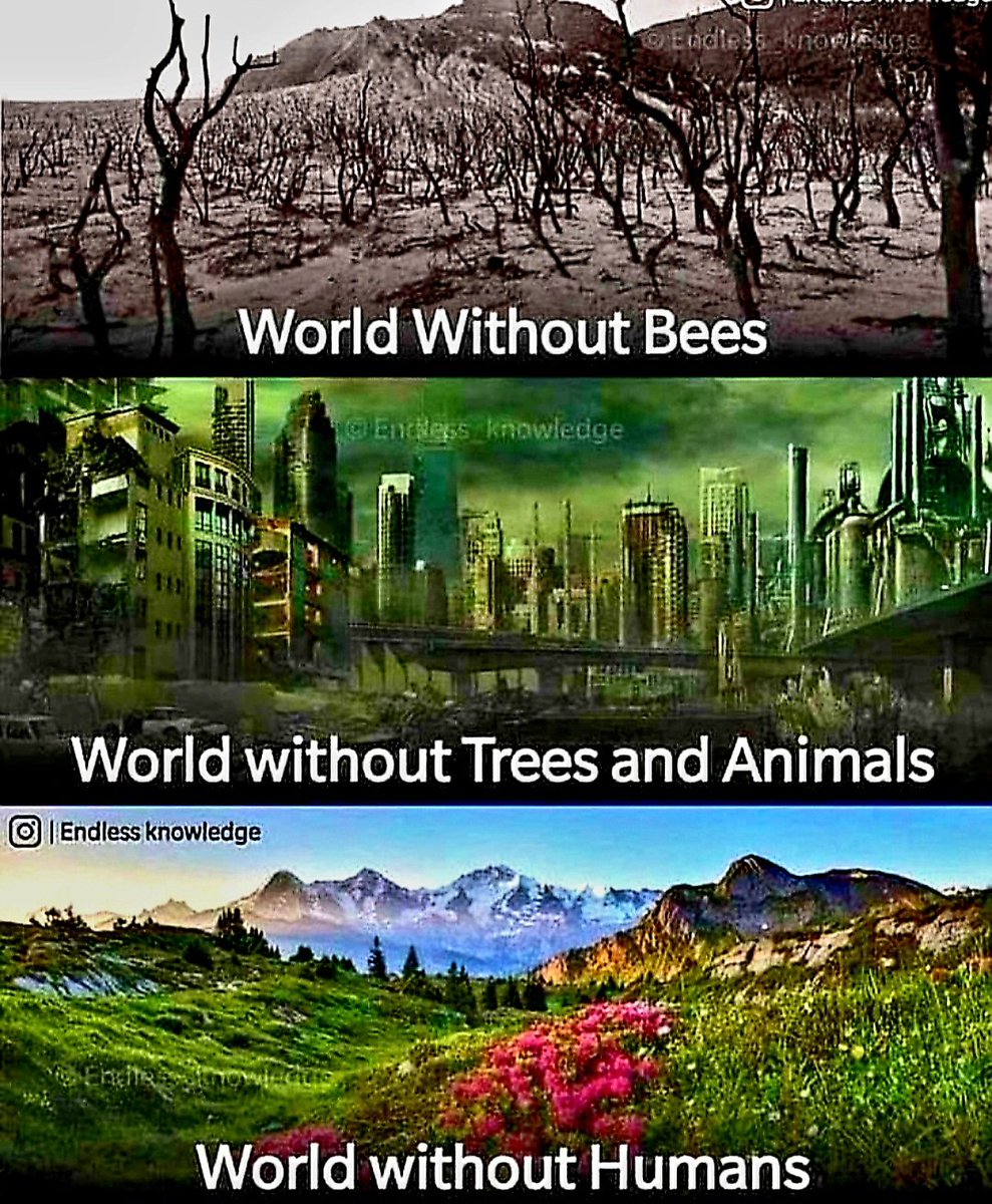 Thursday tweet media