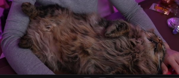 creative tweet media