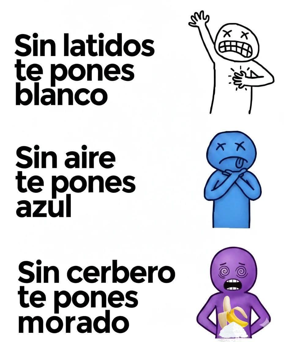 Ximena (@ximpatn) on Twitter photo 