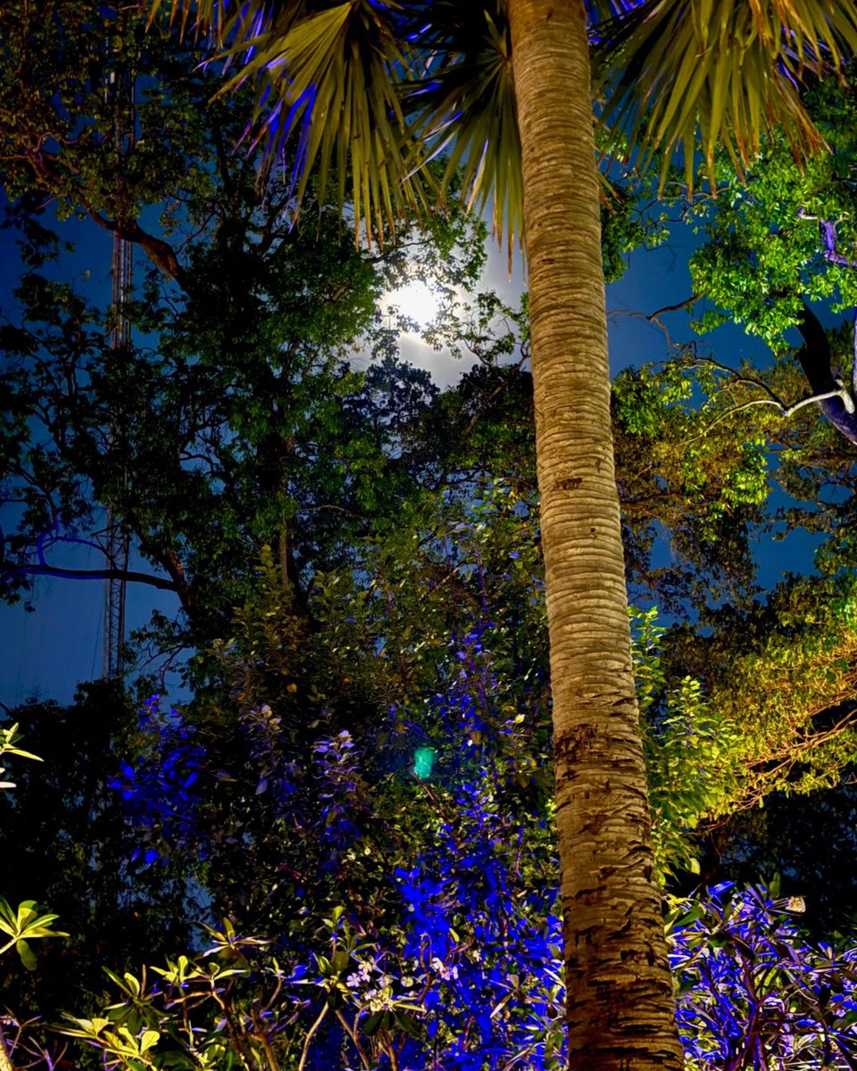 Monoreena Acharjee Majumdar tweet media