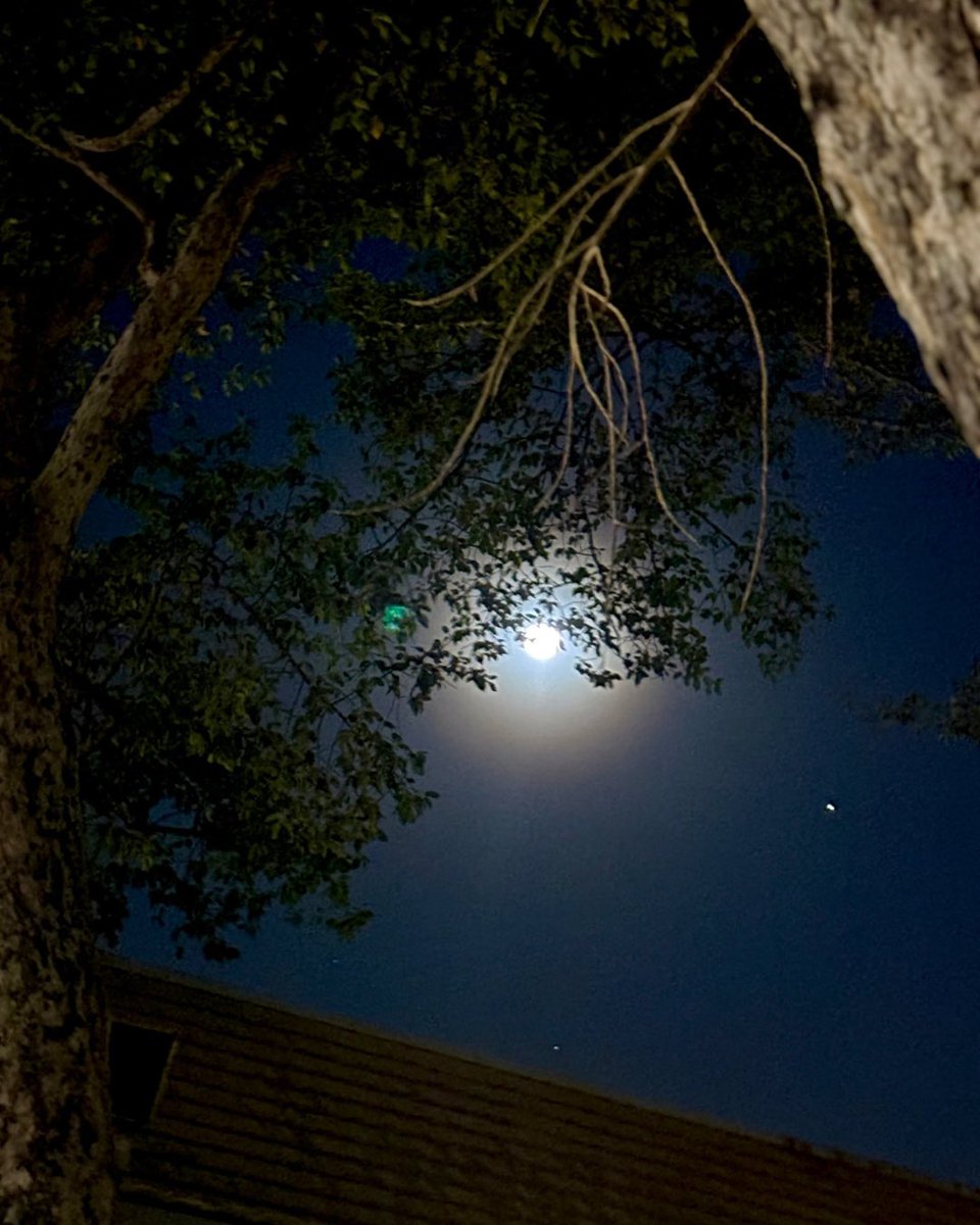 Monoreena Acharjee Majumdar tweet media