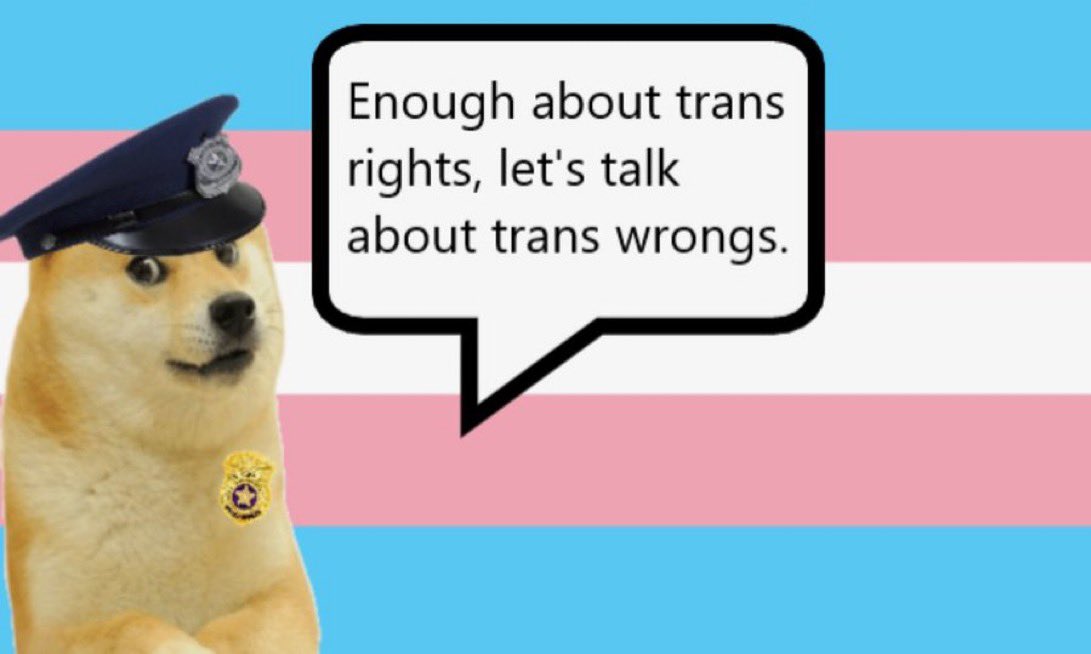 Ban_Commies's tweet photo. @AnnCoulter @jlnelso4 #transwrongs https://t.co/X2SpINEQYB