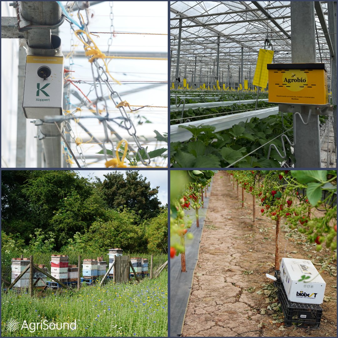 AgriSound tweet media