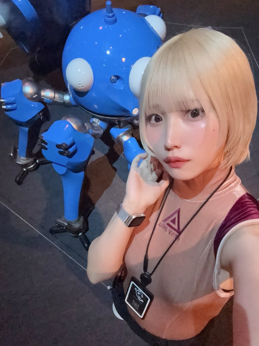 鳩 tweet media