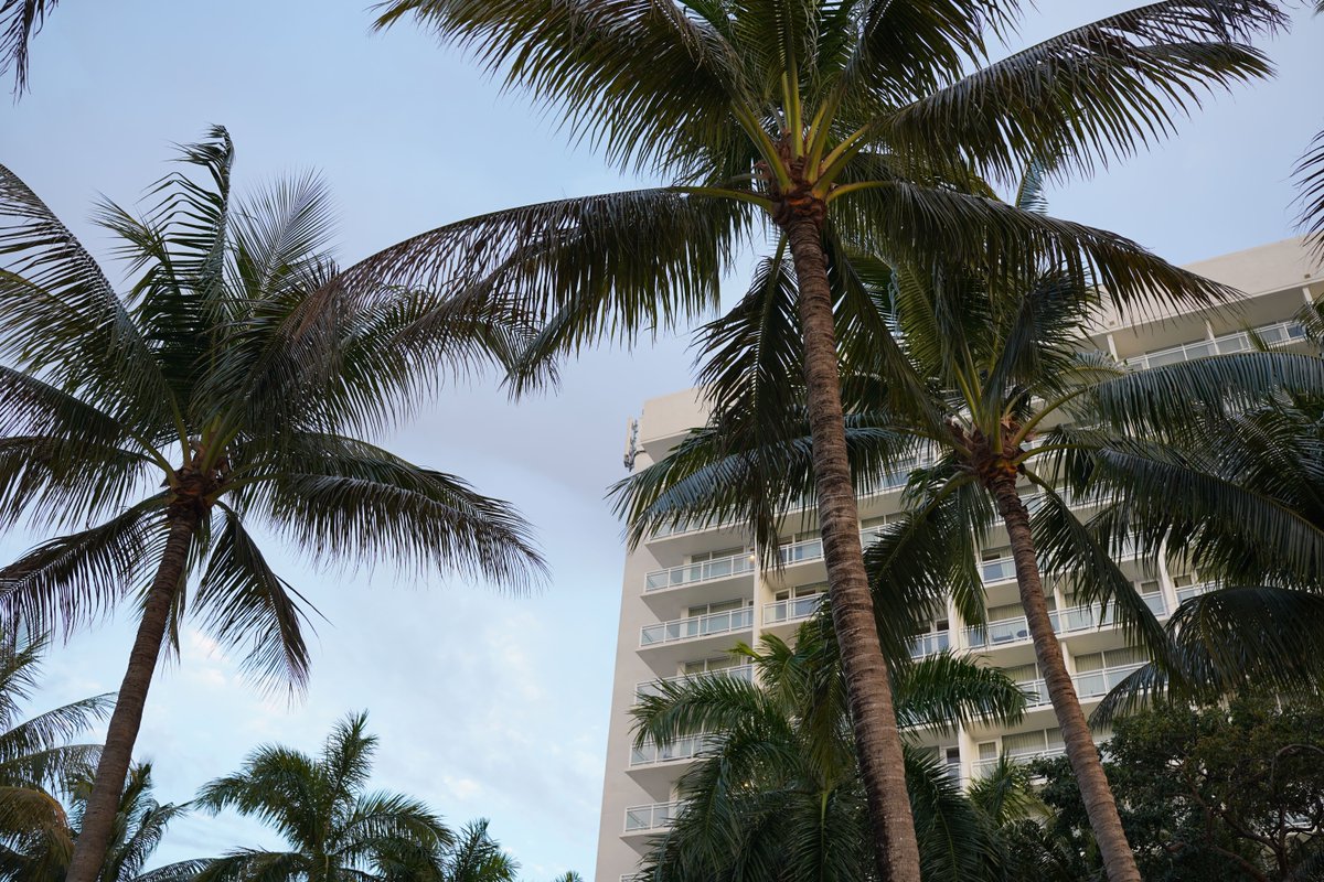 RoboShadow tweet media