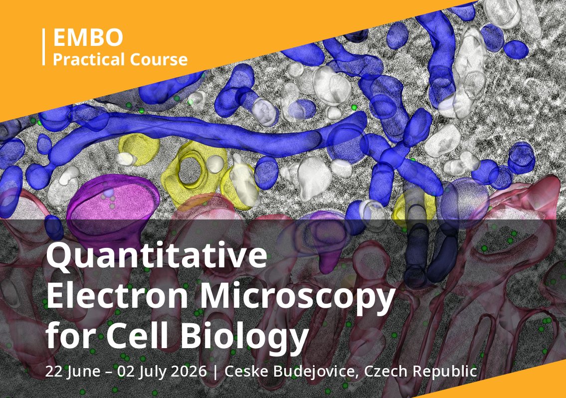 DGE Young Microscopists (yDGE) tweet media
