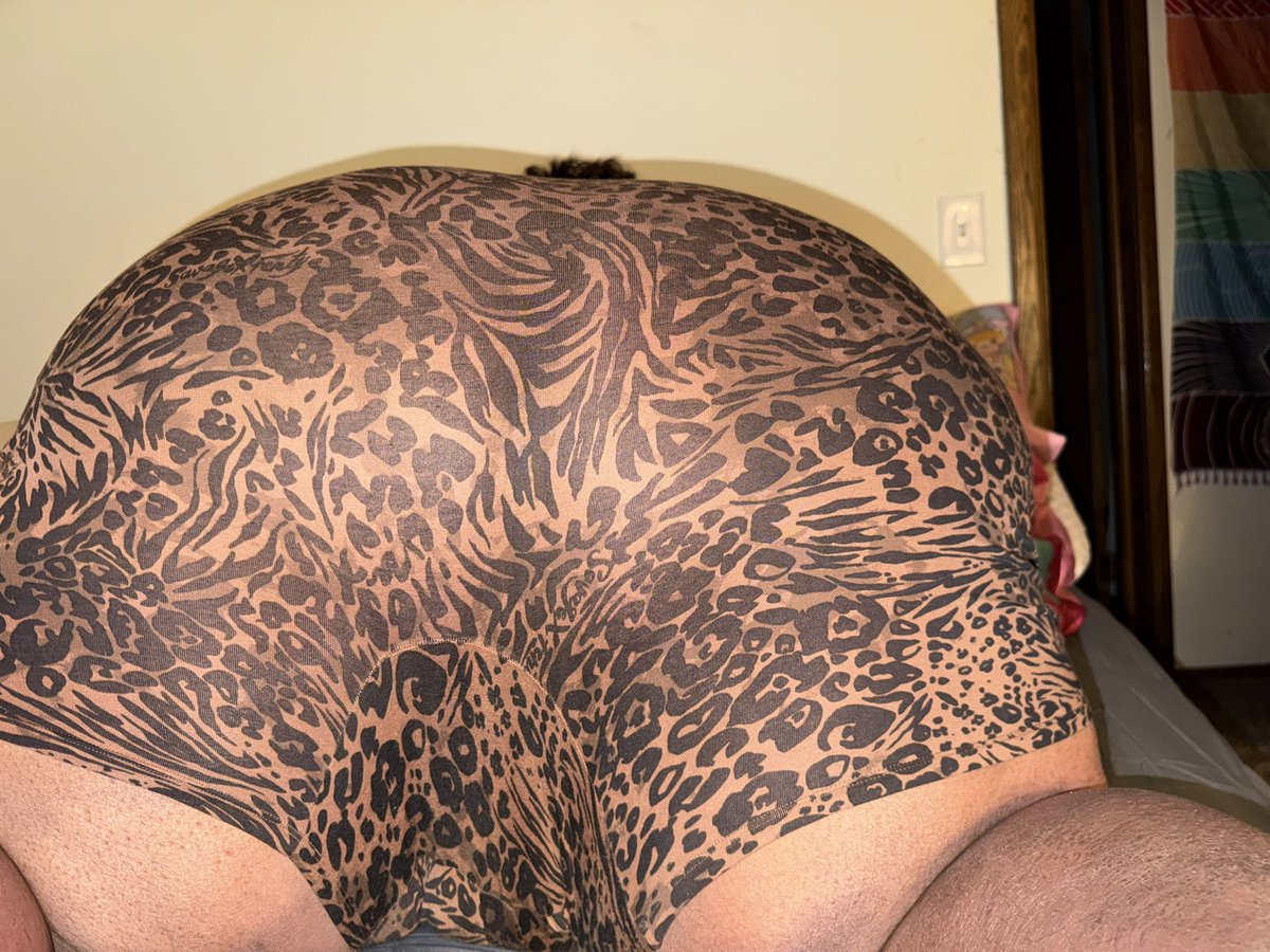 saturnlights22's tweet photo. This isn’t just a rear; it’s a work of art. https://t.co/BJBgsgalMq