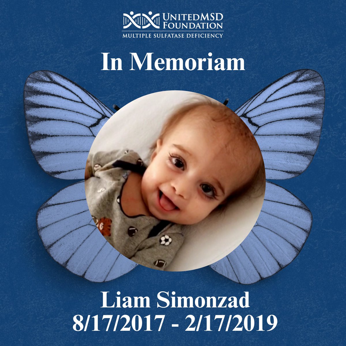 Cure MSD tweet media