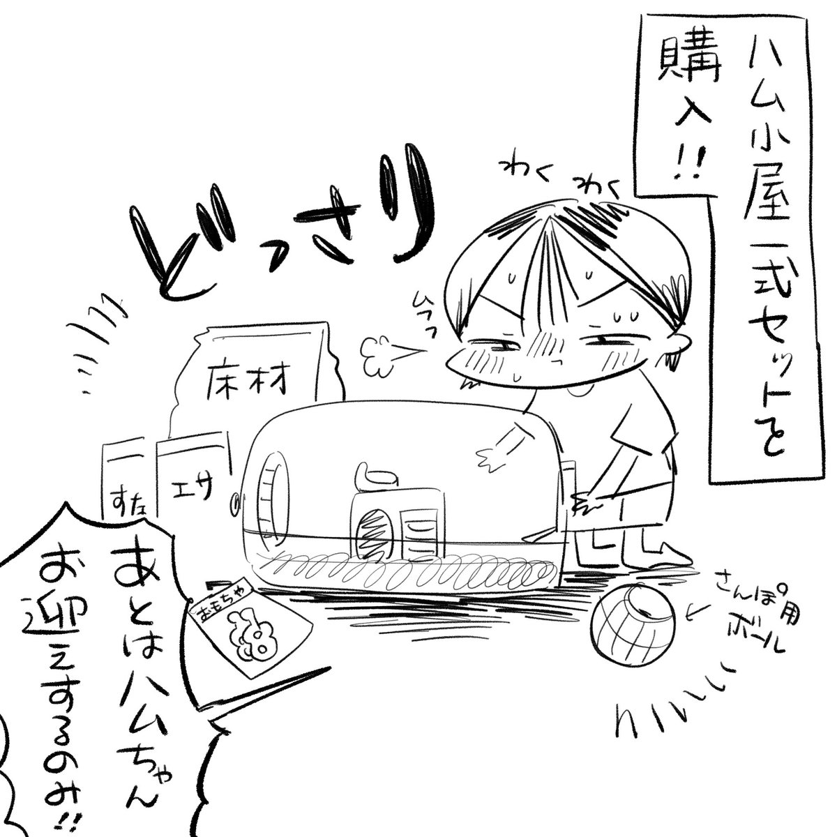 ハムスターの小屋を買ったのにハムスターをなかなか迎えなかったのでしばらく虚無スターを飼っていた話(1/2)

ハムスターってマジで可愛すぎると思いませんか❓🥹 
