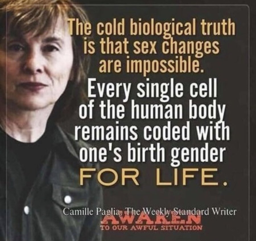 <a href="/libsoftiktok/">Libs of TikTok</a> there is no such thing as transgender
you cannot change your DNA