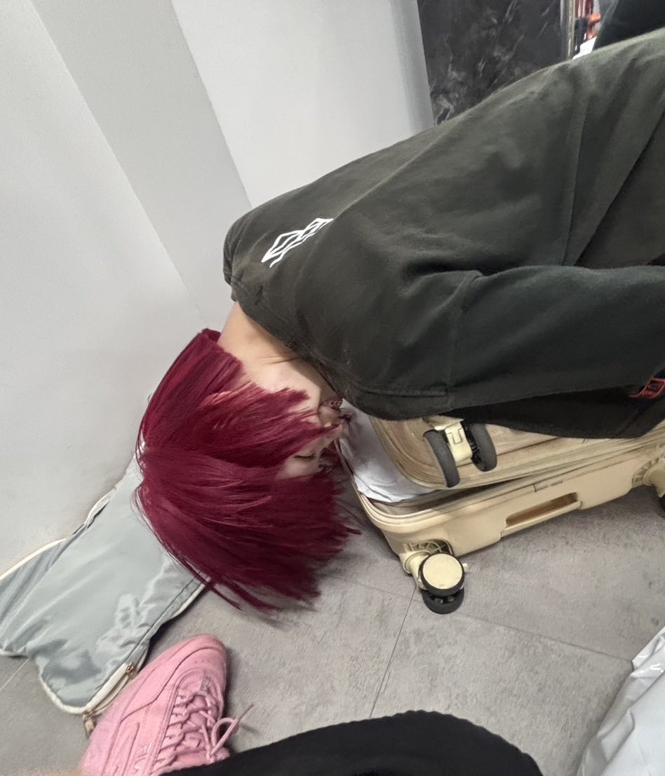 マチルダー・ツインズ tweet media