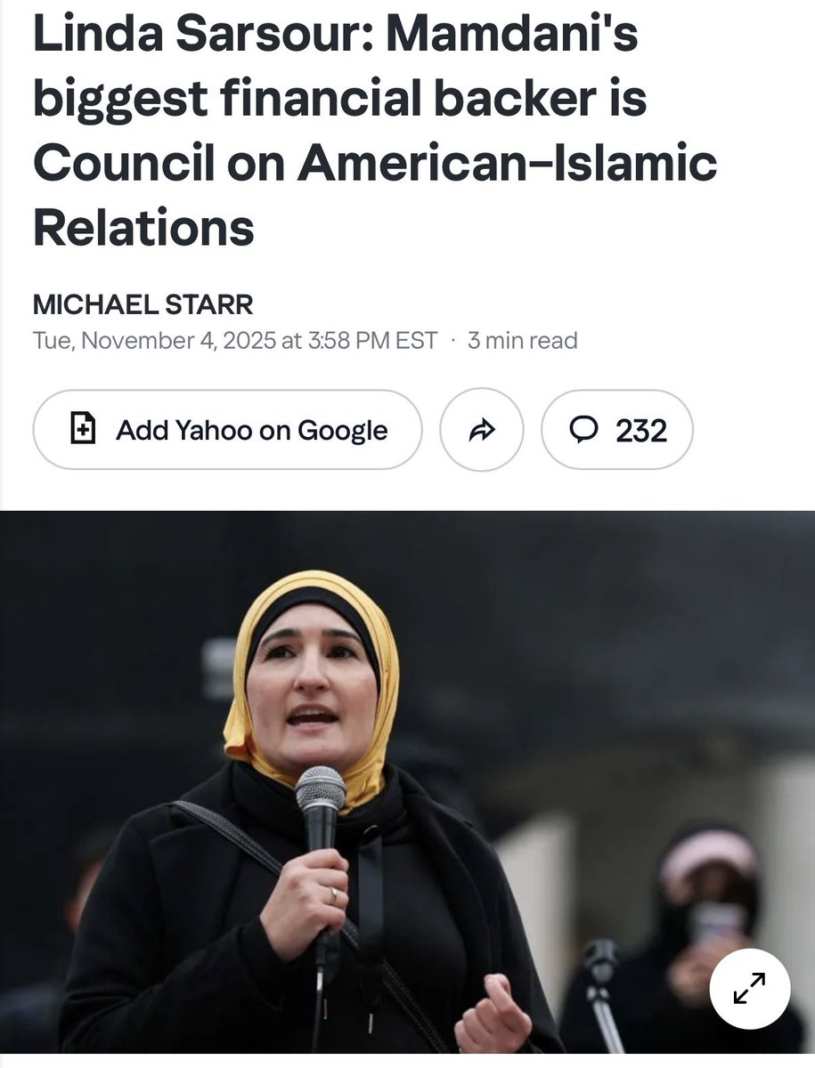 Hank Sheinkopf, a longtime Democratic consultant, said “anyone who thinks [Sarsour] won’t have access to City Hall” if Mamdani becomes mayor — including “access to anything having to do with city policy toward Jewish-Americans — is out of their minds.”