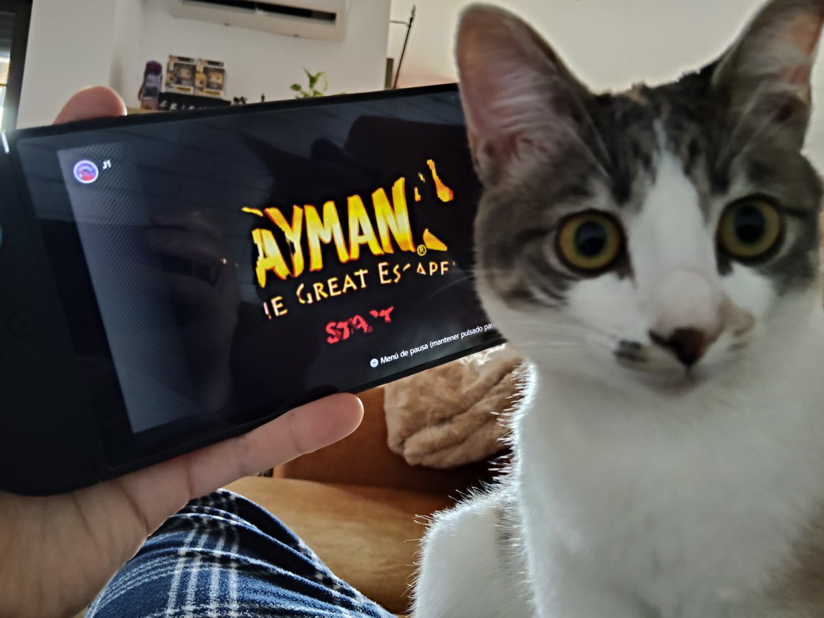 PacenseG's tweet photo. Qué alegría ver qué está #Raymanthegreatscape para jugar en el #NintendoSwitchOnline https://t.co/DnhX9IAleQ