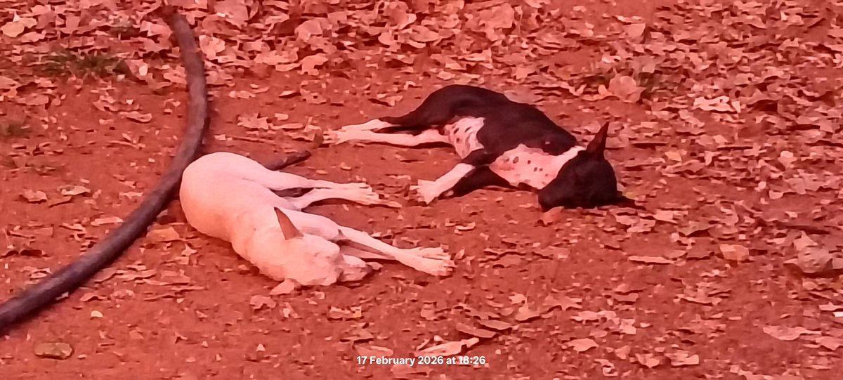 raviboom's tweet photo. காங்கிரஸ் திமுக கூட்டணி பேச்சுவார்த்தை https://t.co/zZK61uKZ7n