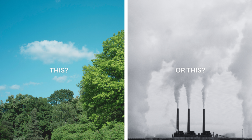 UN Environment Programme tweet media