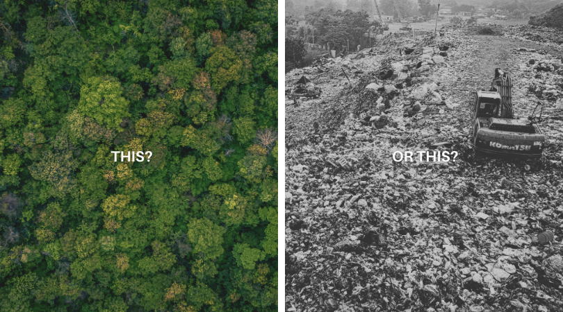 UN Environment Programme tweet media