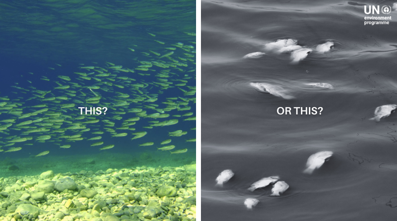 Between life or loss, clean or polluted, plentiful or depleted, the choice couldn’t be clearer.

It’s time to #BeatPollution in all its forms.