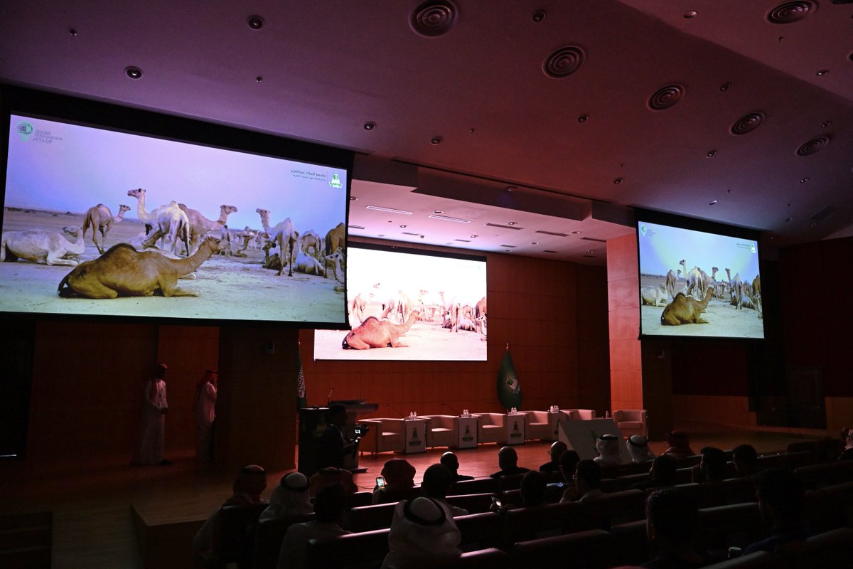 kauedu_sa's tweet photo. The King Fahd Medical Research Center at King Abdulaziz University in Jeddah recently held a workshop on camel research titled: “Camels at the Crossroads of Health Innovation and Biotechnology.”
https://t.co/s1sJSWKsNg https://t.co/gWh6qWGFxi