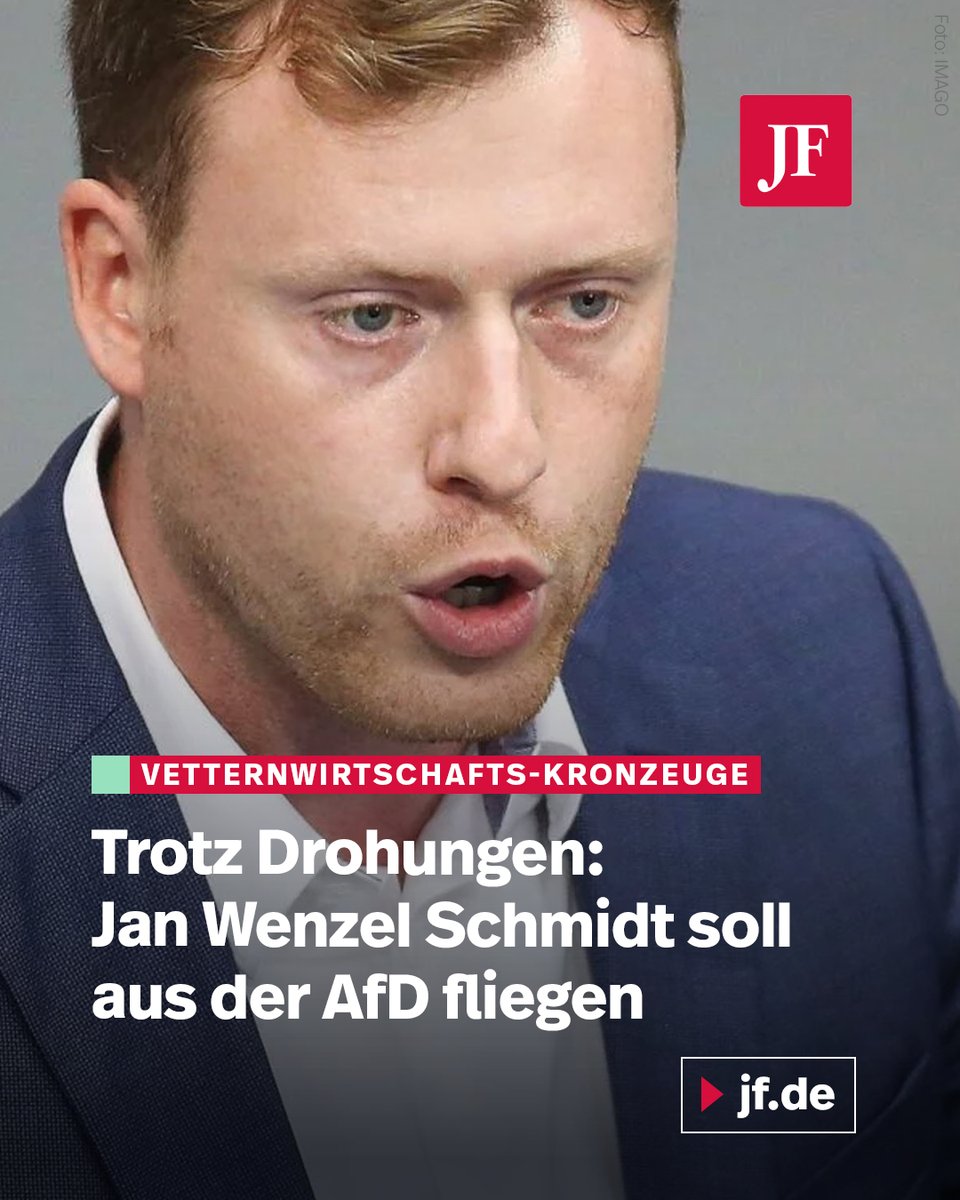 Der Bundestagsabgeordnete Jan Wenzel Schmidt brachte offenbar aus Rache über ein Ausschlussverfahren die Vetternwirtschafts-Vorwürfe gegen die AfD Sachsen-Anhalt ins Rollen. Danach kündigte er gegenüber Nius implizit an, weitere Skandale publik zu machen, sollte das Verfahren