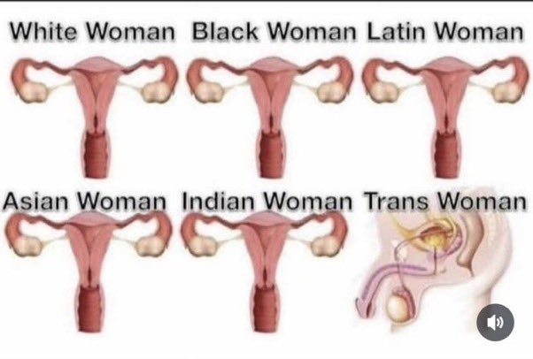 15VRSC's tweet image. Nuff sed!