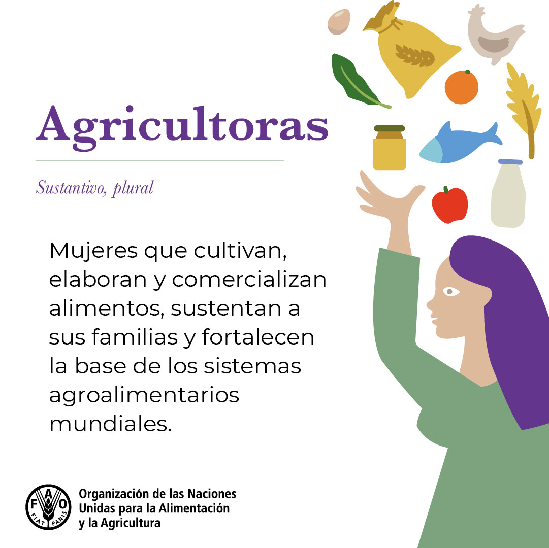 FAOMesoamerica's tweet photo. Las agricultoras están en todas partes: en los campos, en los bosques, en los mercados...

Alimentan a sus familias, sustentan comunidades y fortalecen nuestros sistemas agroalimentarios.

Descubre más sobre el #AñoDeLaAgricultora ➡️https://t.co/Ukbb7IzZLv https://t.co/euREjjp3LR