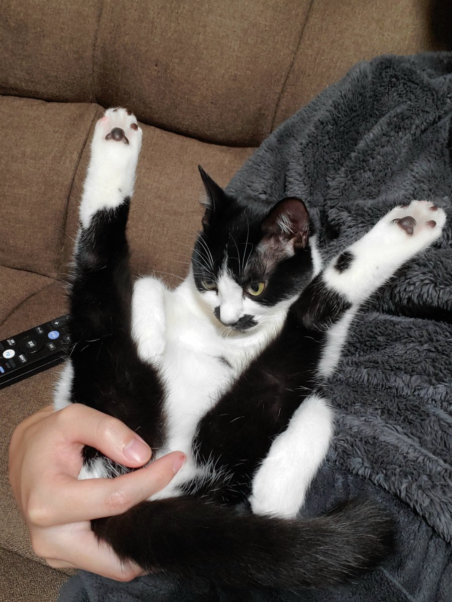 出来映え点3000億点のV字開脚