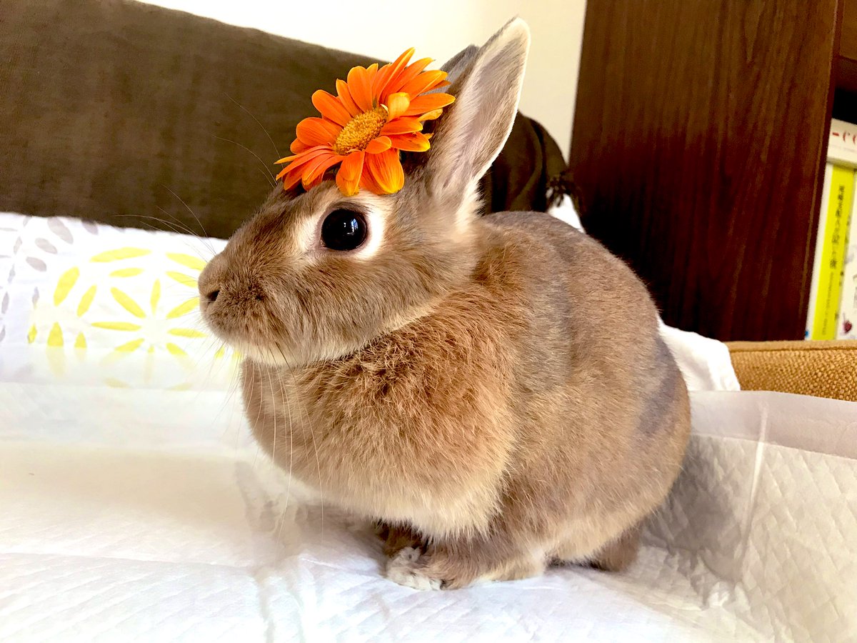 塩谷 直義 tweet media