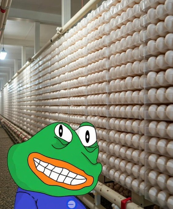 Money Printer Go BRRR tweet media