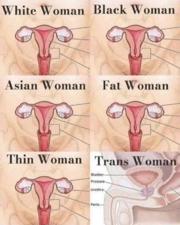 15VRSC's tweet image. WHY ARE @TheDemocrats TRYING SO HARD TO NORMALIZE #GENDERDYSPHORIA/MENTAL ILLNESS.