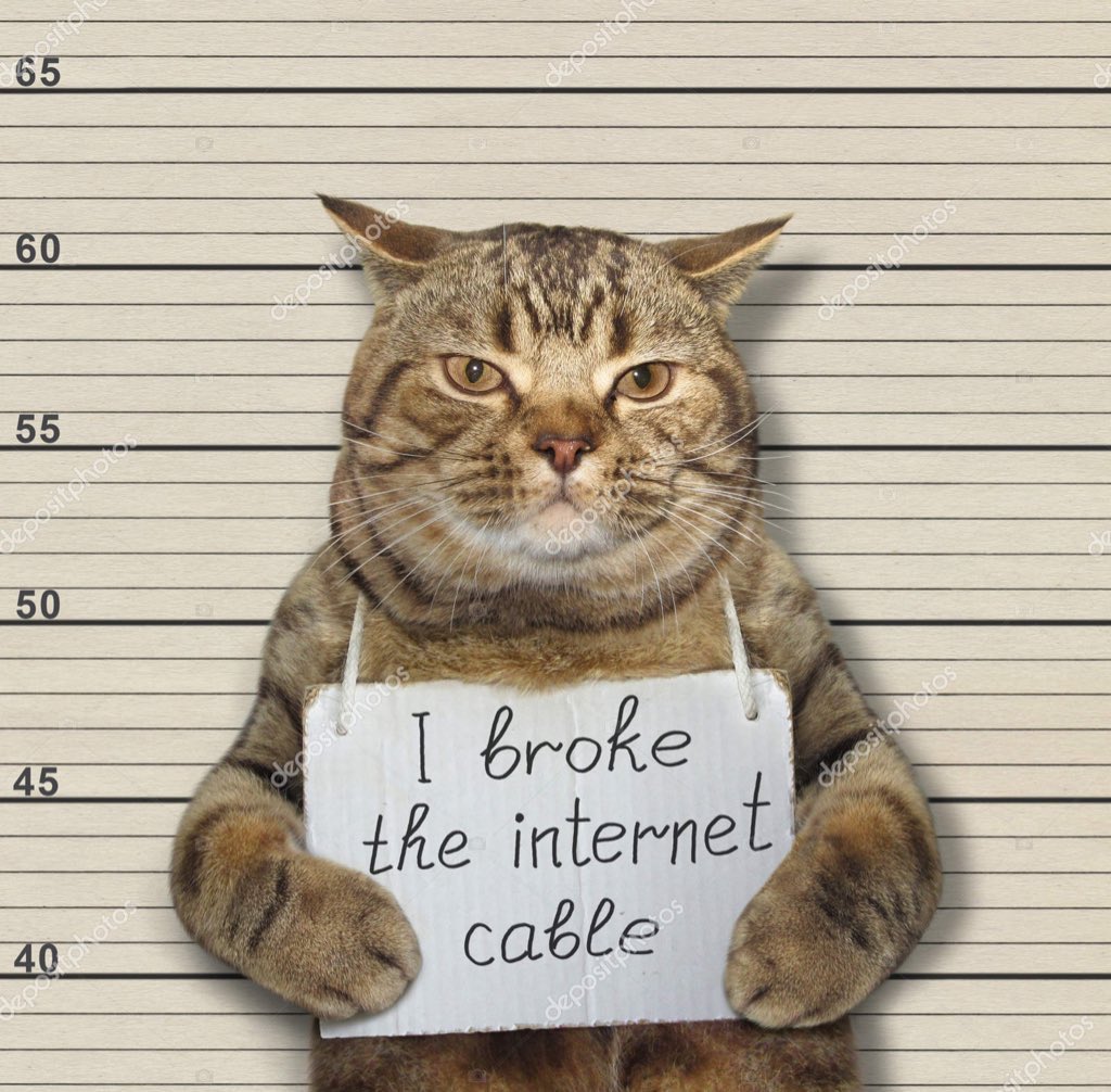 DB (Ay Month 🐣) tweet media