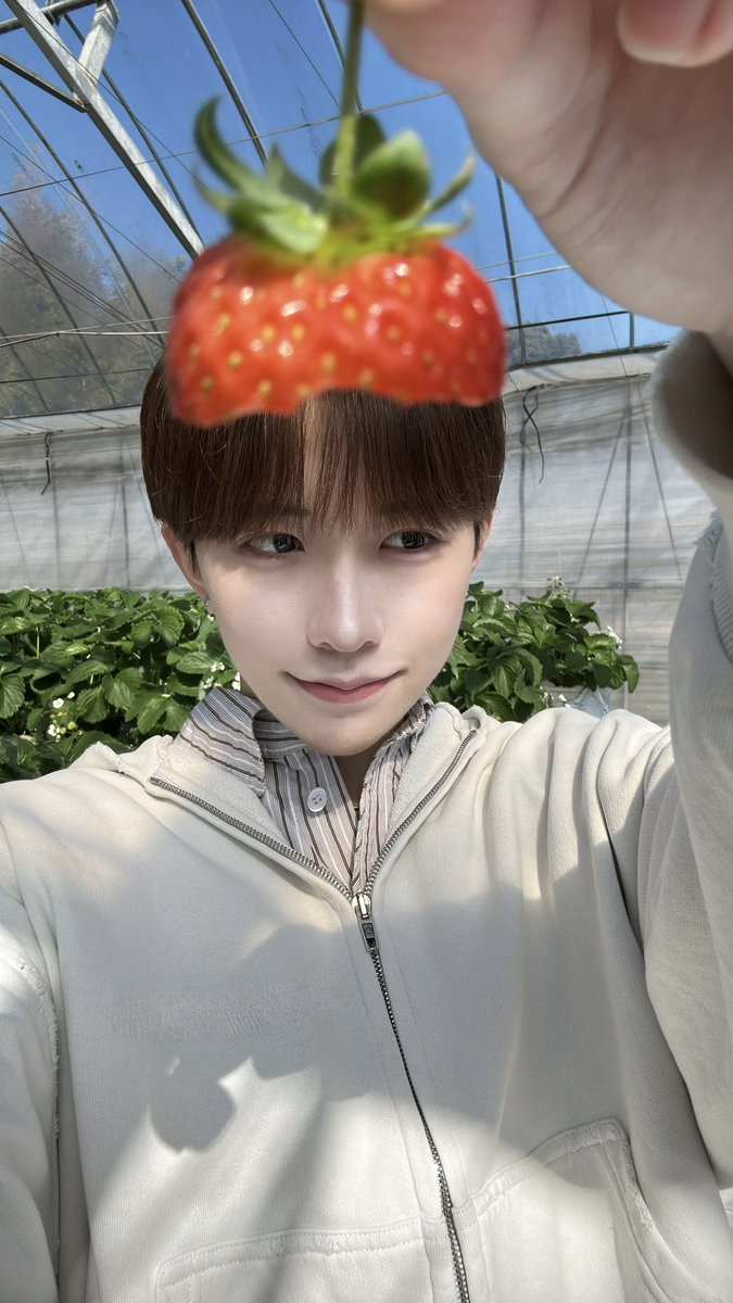 こころ tweet media