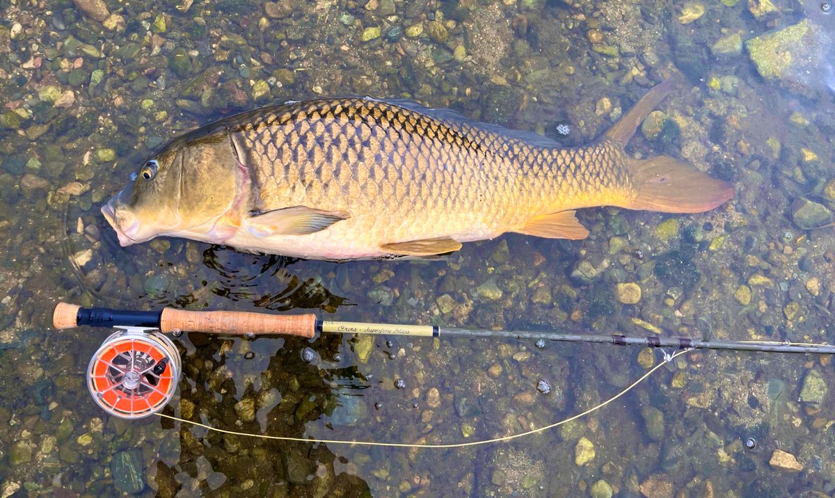 あり (@y6pbCCdSNRXlFI0) / Posts / X