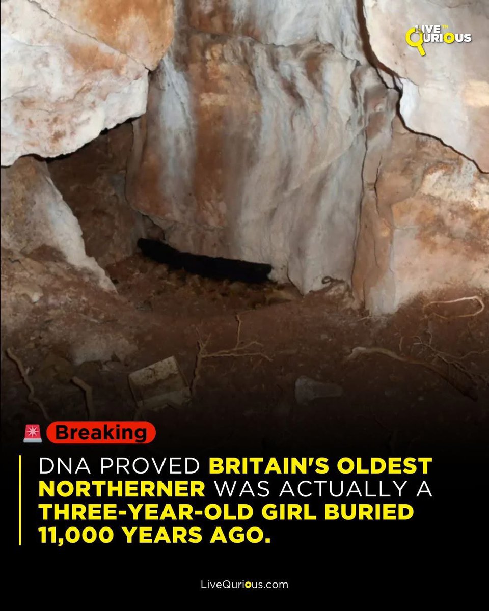 argosaki's tweet image. #England #Cumbria 
Archaeologists in Cumbria, England, have confirmed through DNA analysis that northern Britain's oldest human remains belong to a young girl who lived 11,000 years ago. 

Affectionately named the Ossick Lass after the local pronunciation of Great Urswick, she