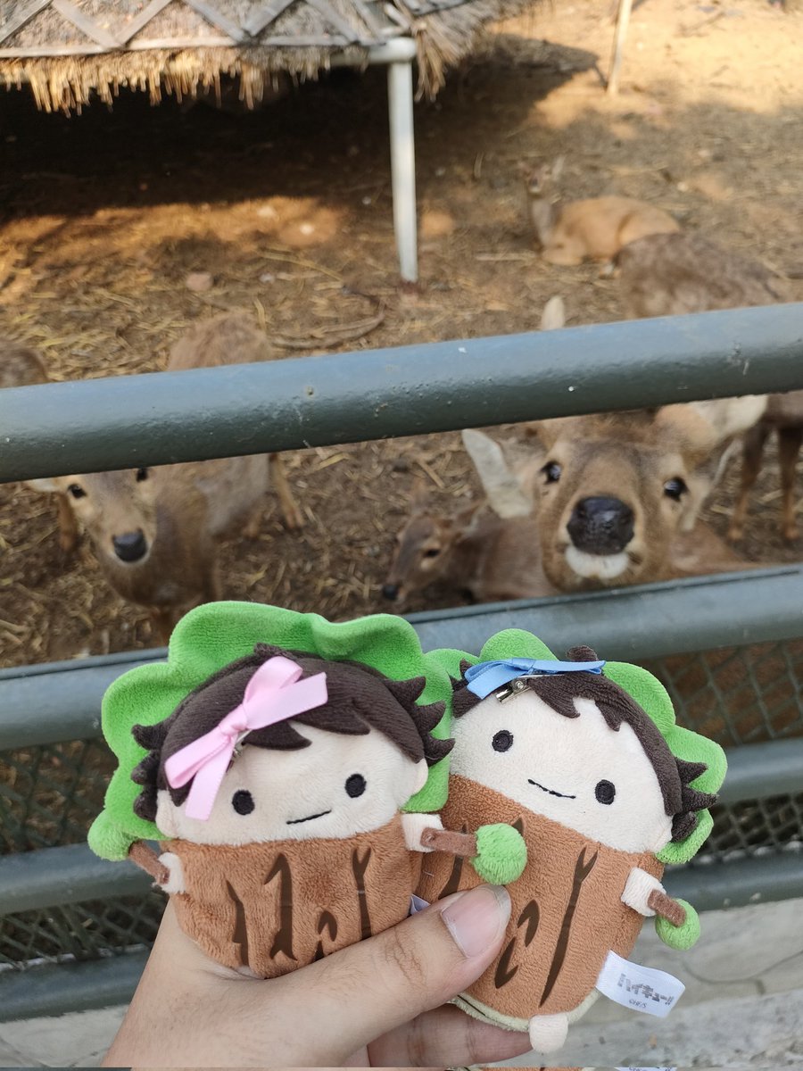 🌈CT Doll ร้านชุดตุ๊กตาตัวน้อย🍼 tweet media